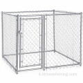 Cage per cani da ginnastica galvanizzata esterna
